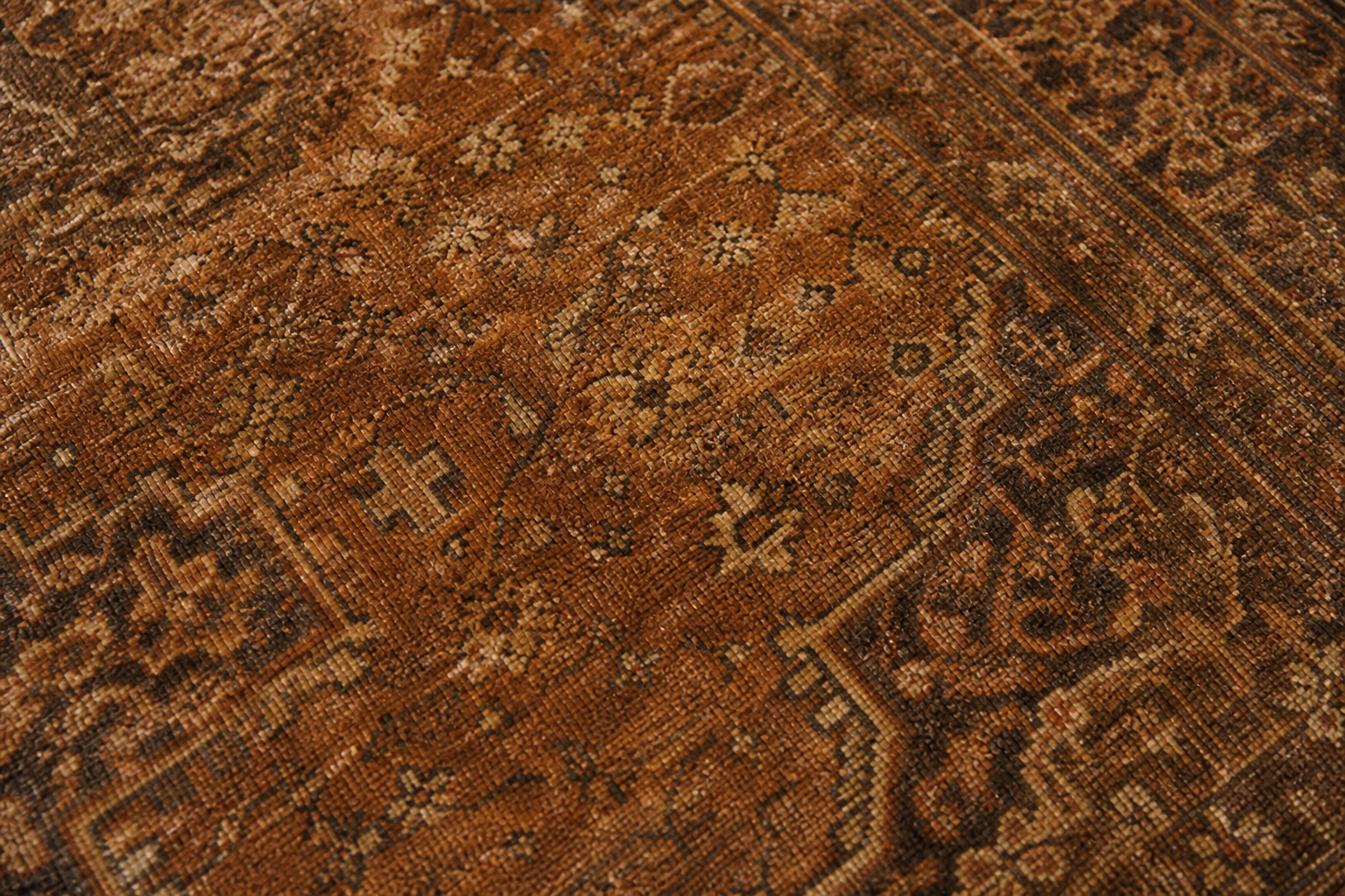 Umber Distressed Carpet view 2