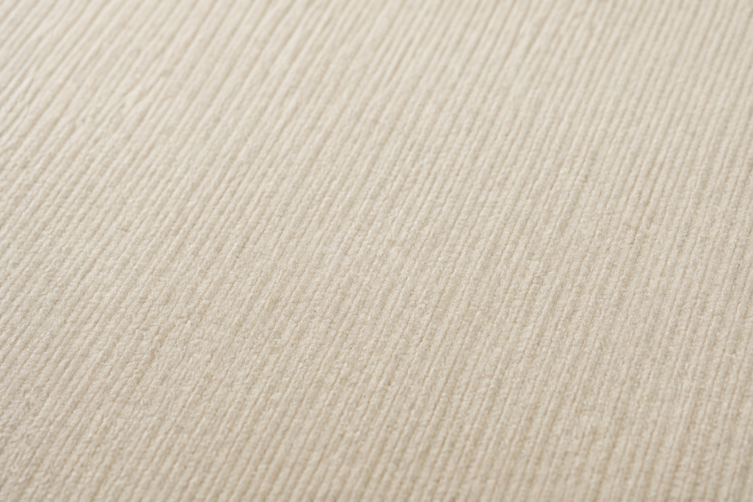 Ivory Quiet Carpet view 2