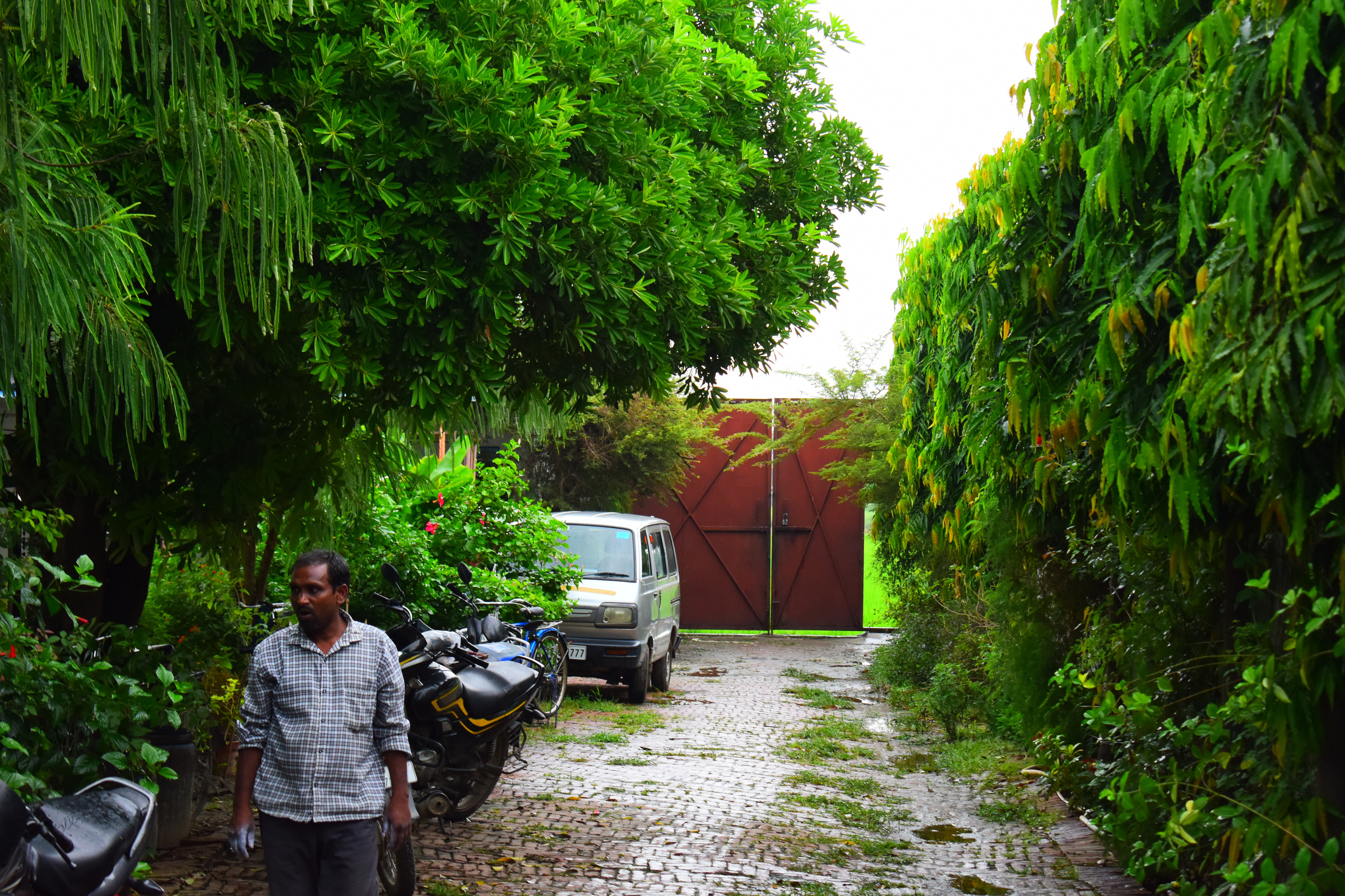 Driveway to the Divine Teppich atelier